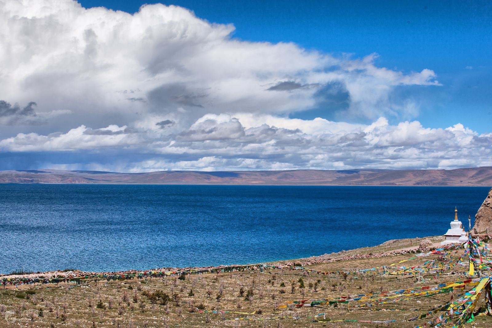 探寻西藏高原的独特魅力之旅