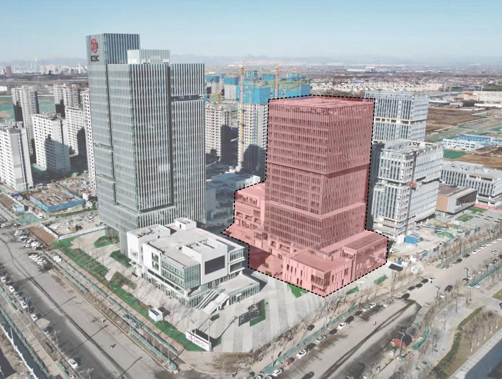 保定之光，学习变革的力量与自信成长的旅程